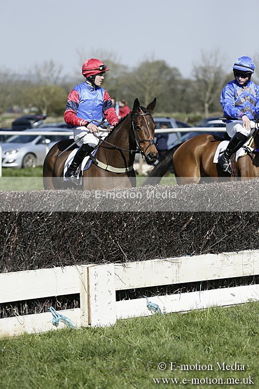 PtP 260317 158 - Mendip Farmers Point-to-Point Ston Easton 26/03/17