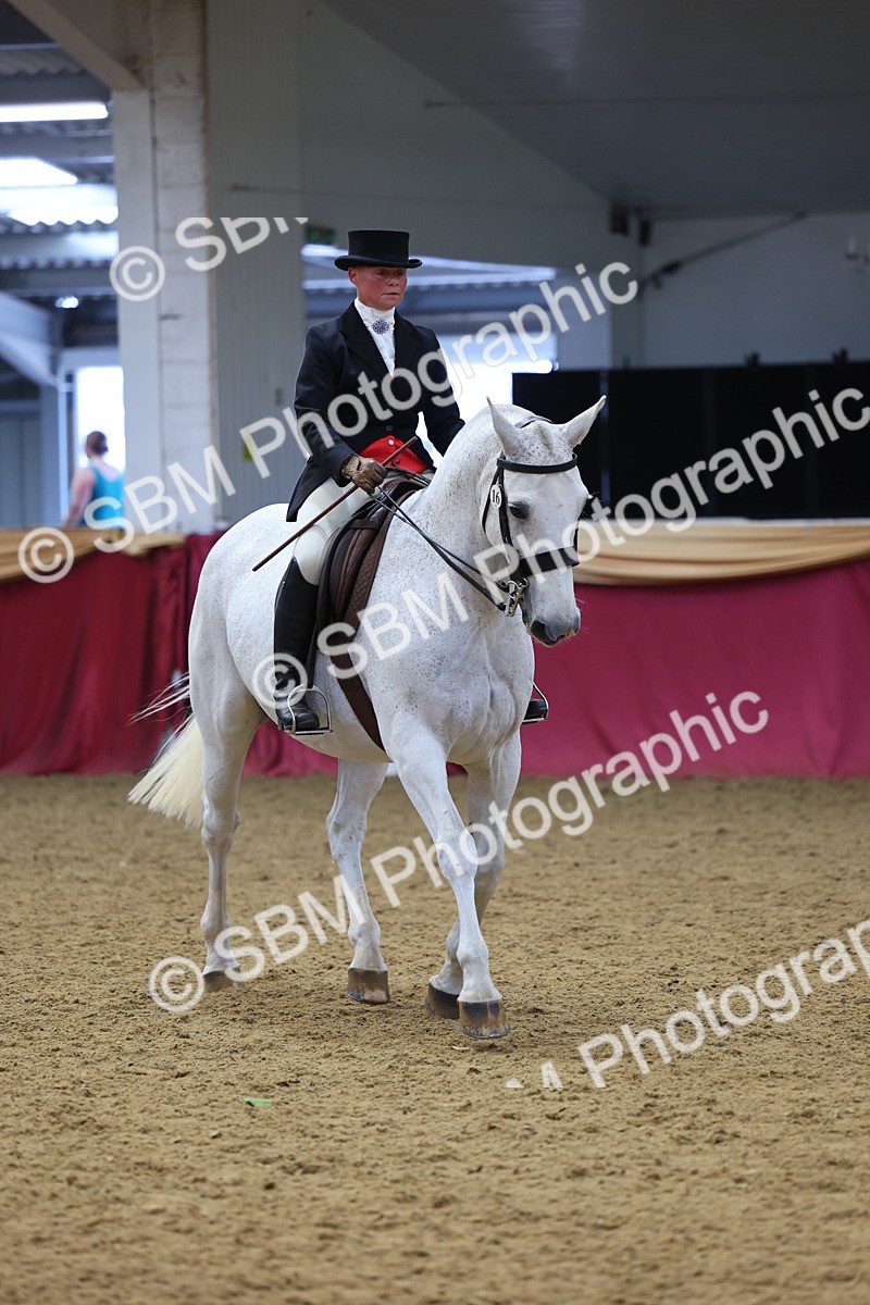 SBM_24446 - Class 906 - Supreme Final - Ridden Pre Vet