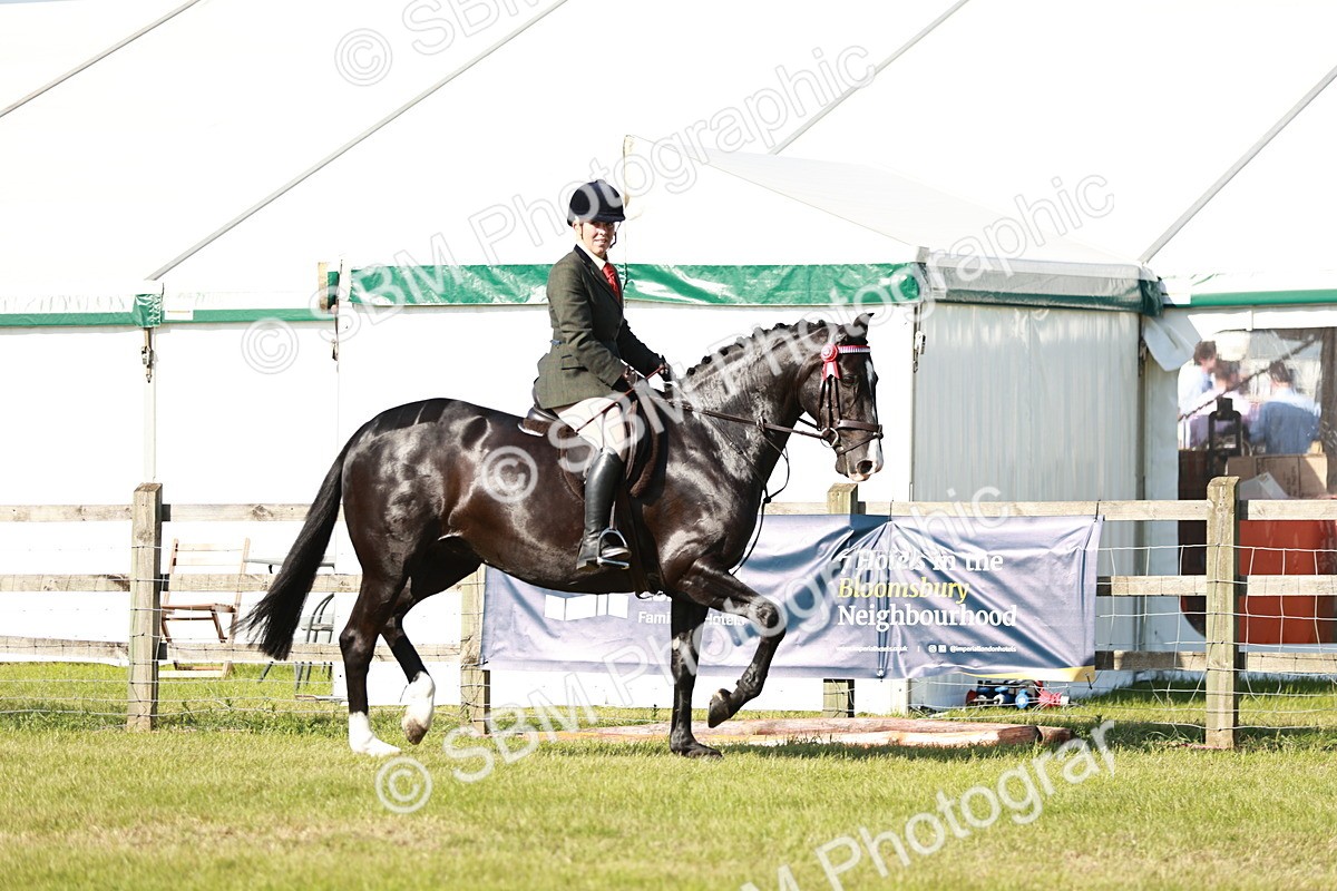 SBM_19229 - Class 115-116 - LIHS BSHA Rising Star Working Hunter & Show Horse
