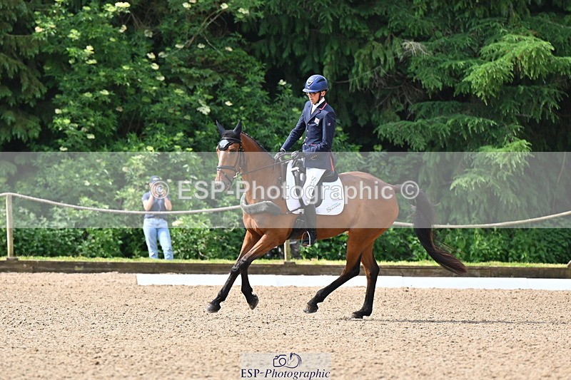 250523A-094139-05311 - C-258-Bill.Levett-ITALIAN.HARLEQUIN.NJ