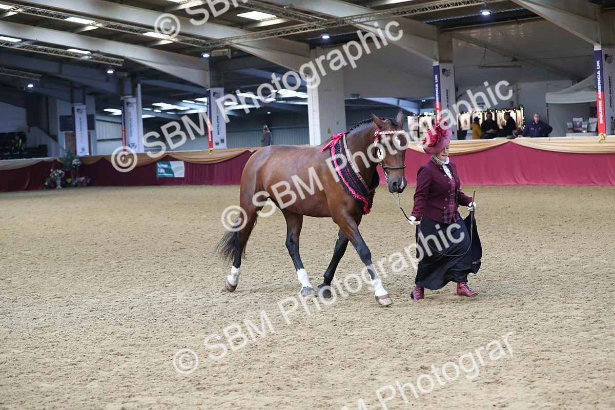 SBM_10784 - Class 103 IH Costume