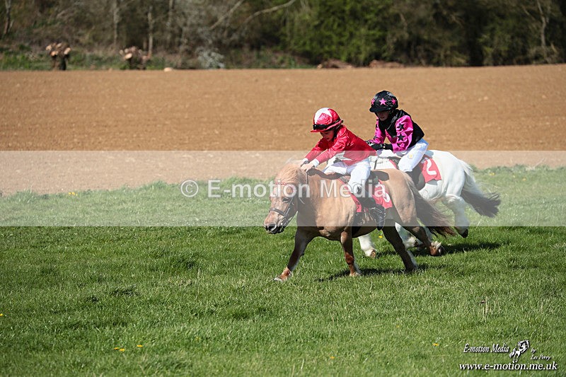 Shet 060426 167 - Shetland Pony Racing Paxford Races Easter Mon 06/04/26
