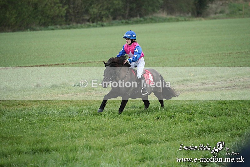 SHETPR 210425 103 - Shetland Ponies Paxford Races 21/04/25