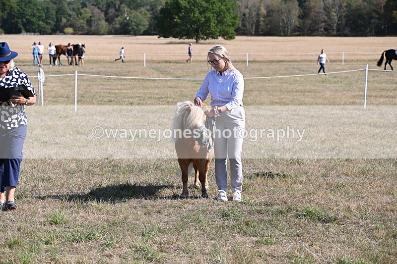 WJ6_7357 - Class 33 Rescue Pony