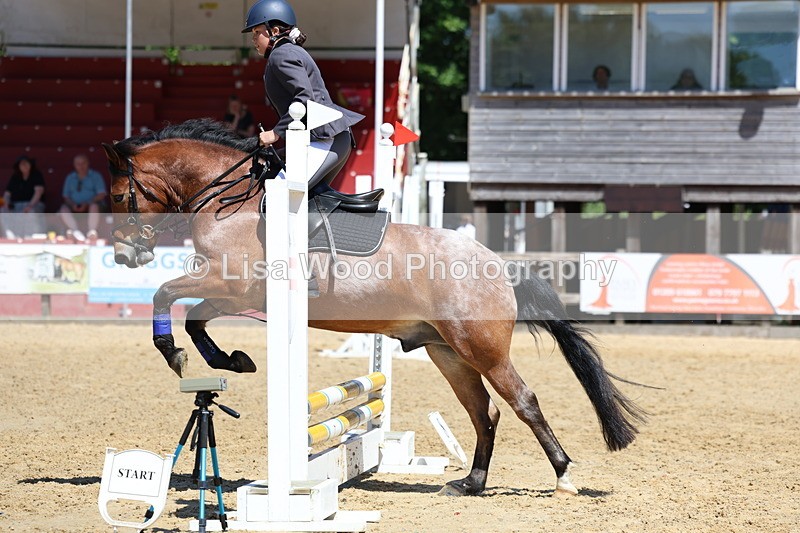 3E7A2377 - Class 4/5: 60cm Open Teams and Individuals