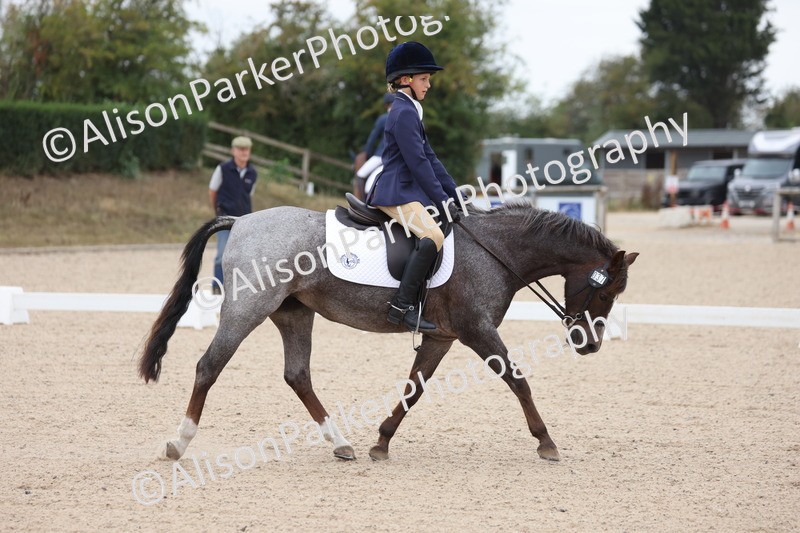 20250819-0881 - Class 2 - Prelim 1