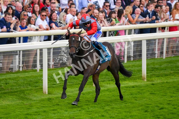 290723-Race 7-Bajan Bandit-1098 - Race 7 5.45pm Sky Bet Extra Places Every Day Handicap
