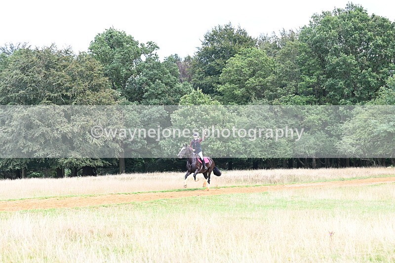 DSC_8765 - Time at Statue 14:33 to 15:10