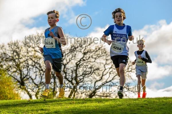 NatRel25-914323 - Young Male Set One