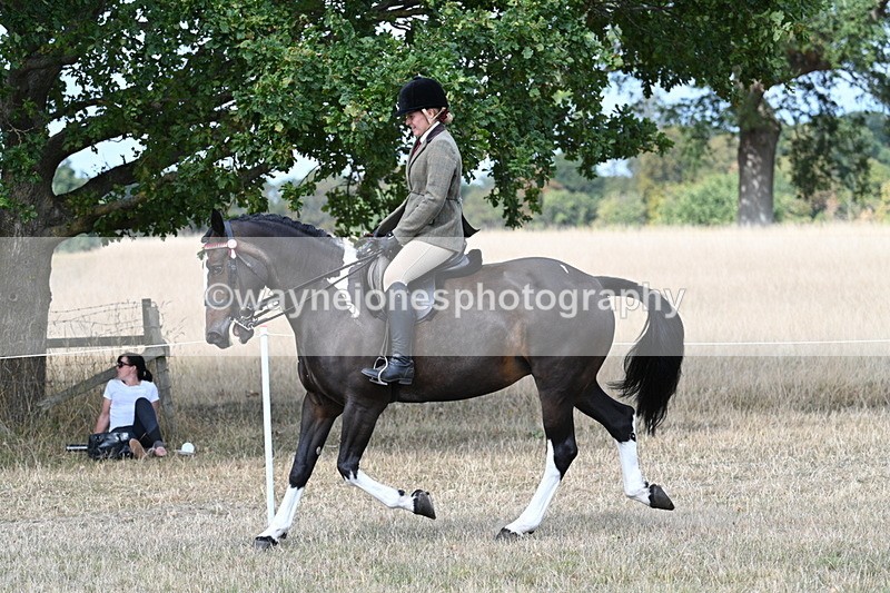 WJ7_6084 - Class 13 Ridden Veterans