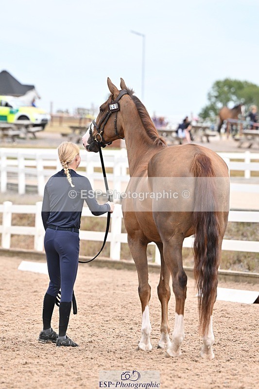 250716-161446-02516 - Trot Up 3.30 to 4.30