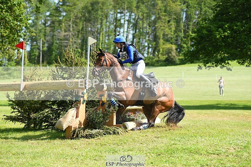 230527-102546-08553 - 255-HI_MR_HENRY-Henry_Hobby-XC