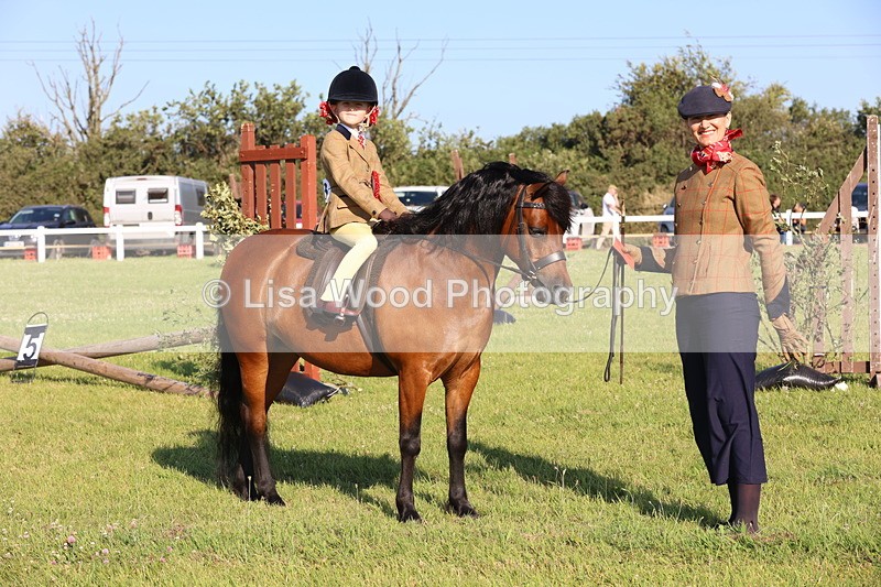 JPP_0875 - Class 16: Cornish Combination Leading Rein