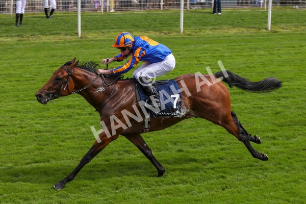 210824-Race 2-The Lion In Winter-7220 - Race 2 2.25pm Tattersalls Acomb Stakes