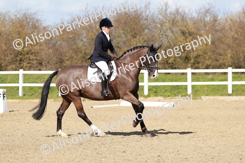 20260314-3066 - DR3 - Prelim 1