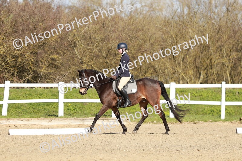 20260314-4318 - DR4 - Prelim 2