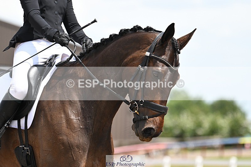 250620-123145-02954 - BD Cls 4 - Novice 5, 11.30am to 12.35pm