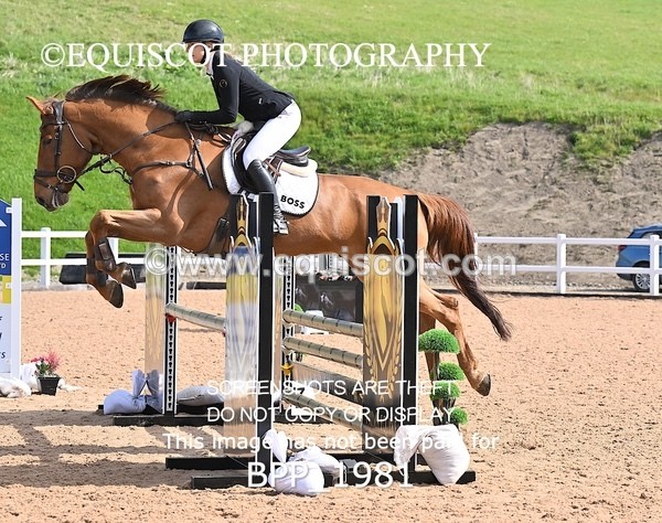 BPP_1981 - CLASS 3 - FRI - Senior British Novice/90cms Open