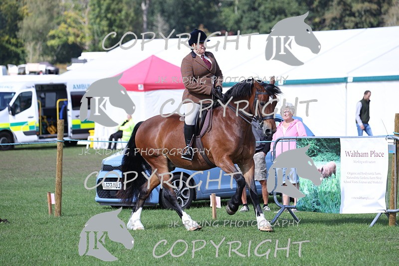 APP_3073 - Class 11 Veterans ridden