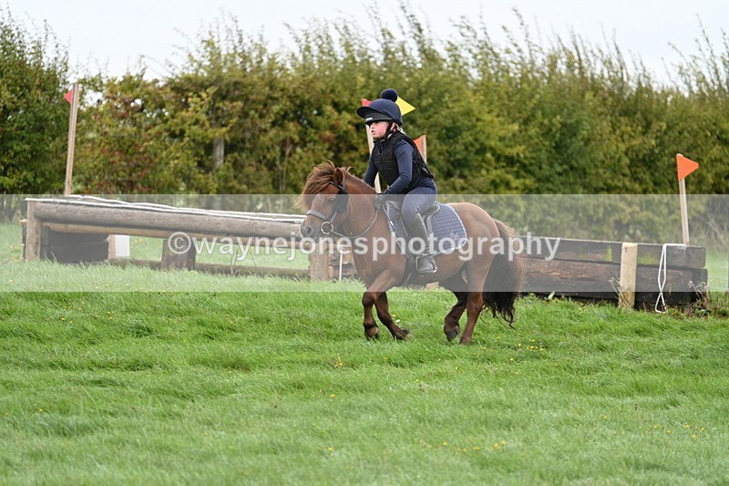 WJ7_7631 - Time 10:05 to 10:30  (3 cameras)