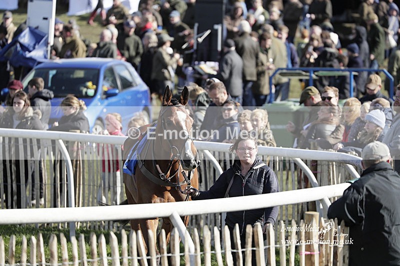 PtP 100423 958 - Old Berkshire Point-to-Point Lockinge 10/04/23