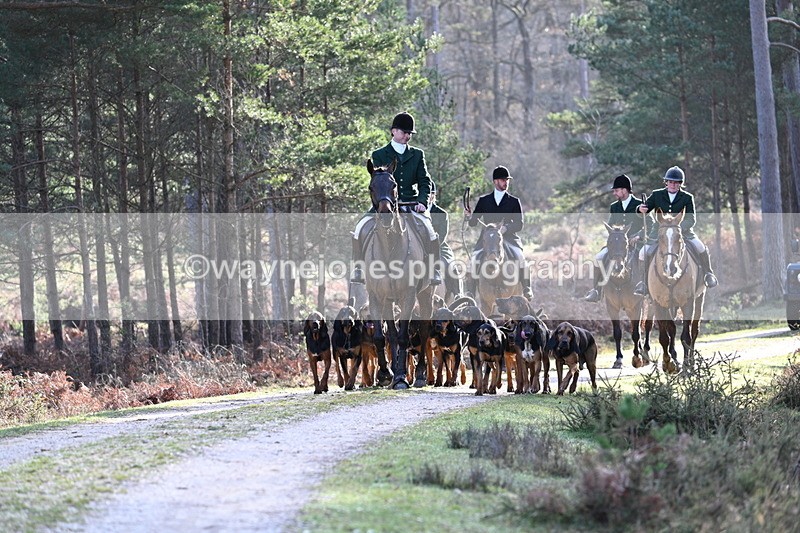 WJ7_7634 - Line 3 (no line 4 or 5)