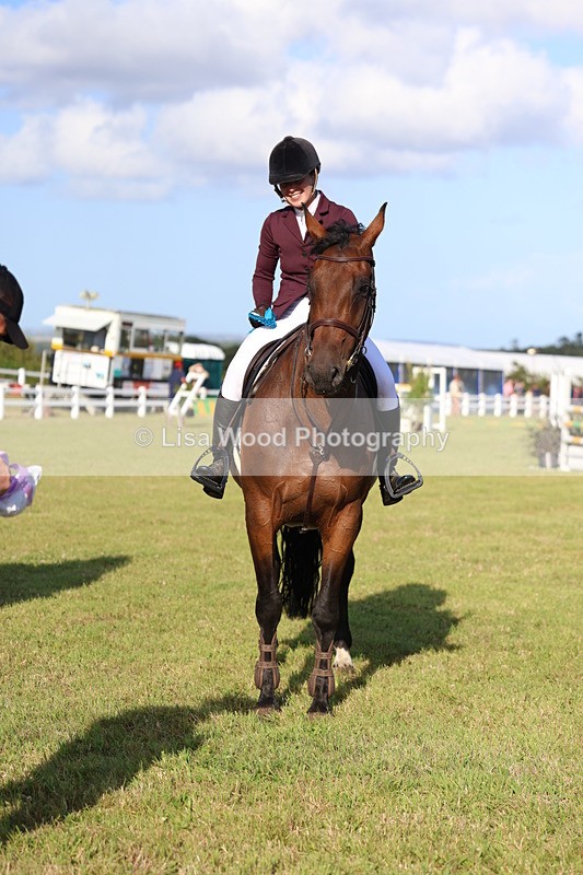 3E7A4545 - Class C: Showjumping Senior Foxhunter