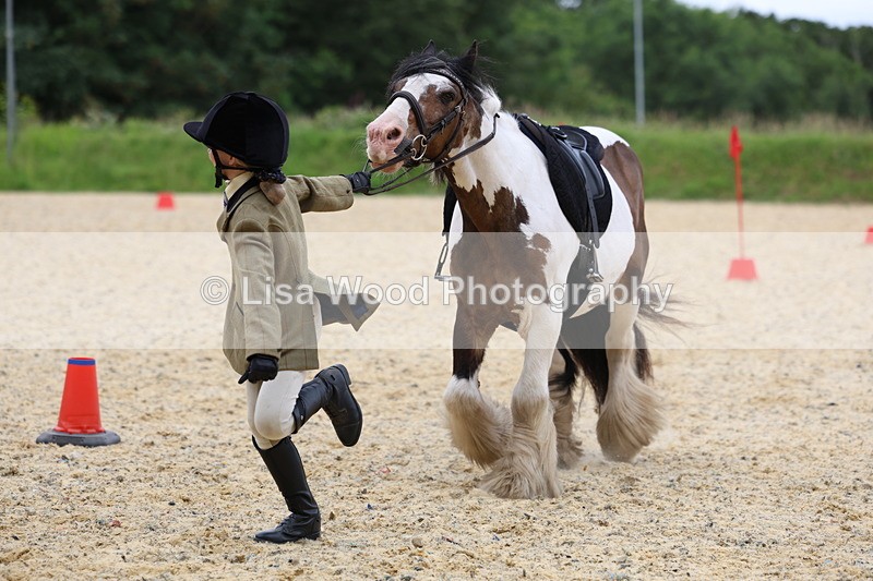 3E7A9692 - Walk trot run