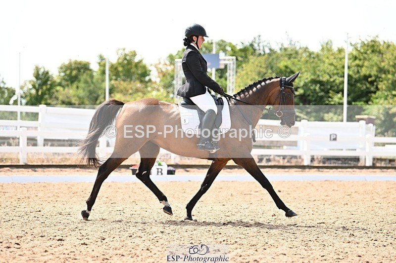 250815-131858-01422 - 005-Patricia.HaskinsGaelic.Surprise