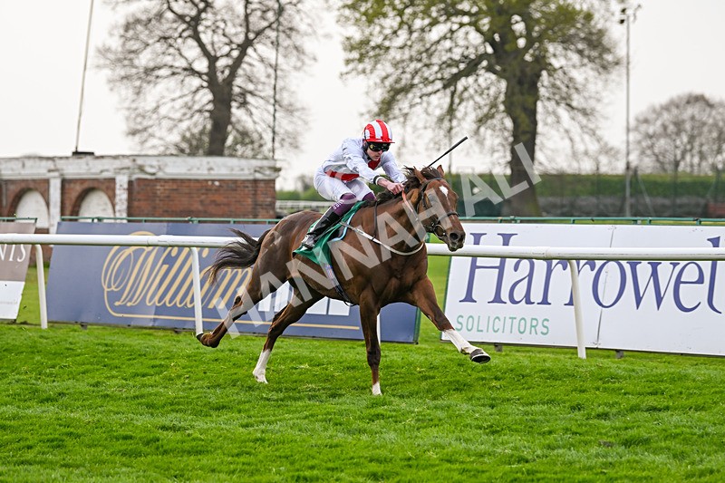 120425-Race 5-Majestic Warrior-1331 - Race 5