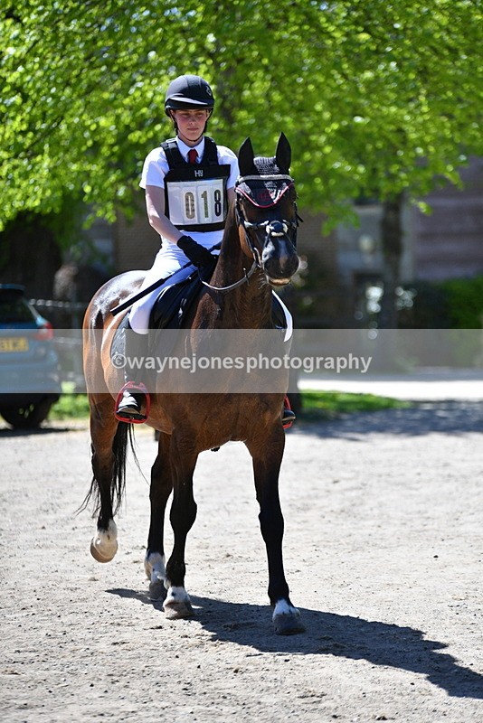 WJ5_7498 - 80cm time 12:47 to 13:39