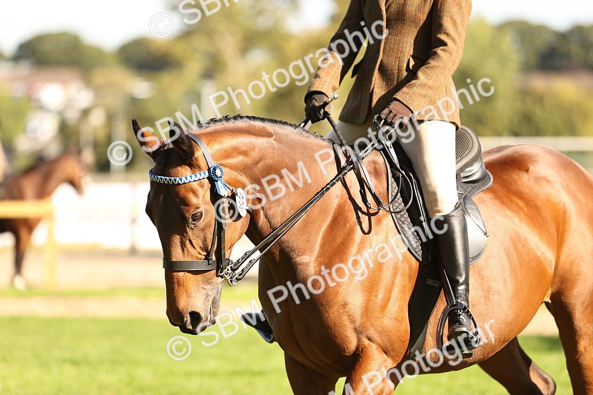 SBM_16938 - S2 - TSR Ridden Pony Showing