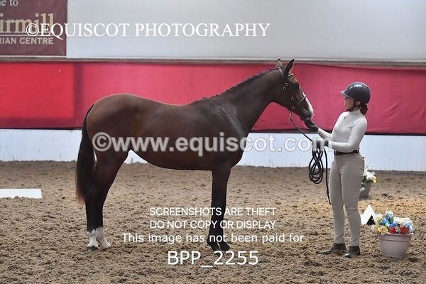 BPP_2255 - AFTERNOON 12.30 - 3.30PM