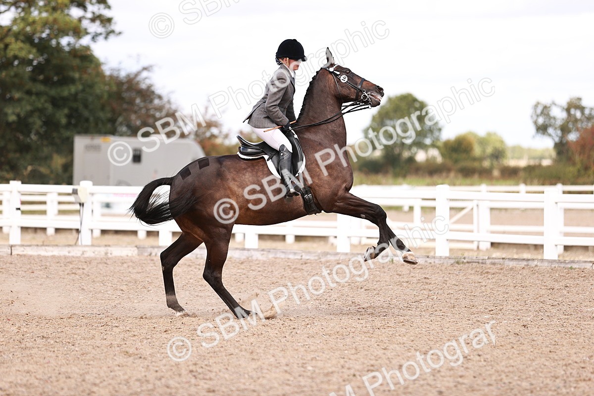 SBM_14463 - Class 410 - Grassroots Ridden - Horse