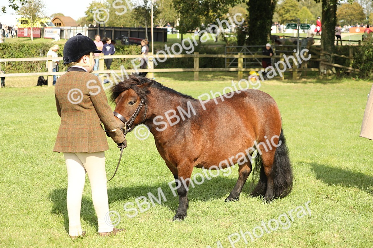SBM_68611 - S40 - Junior Handler 9-12 Years