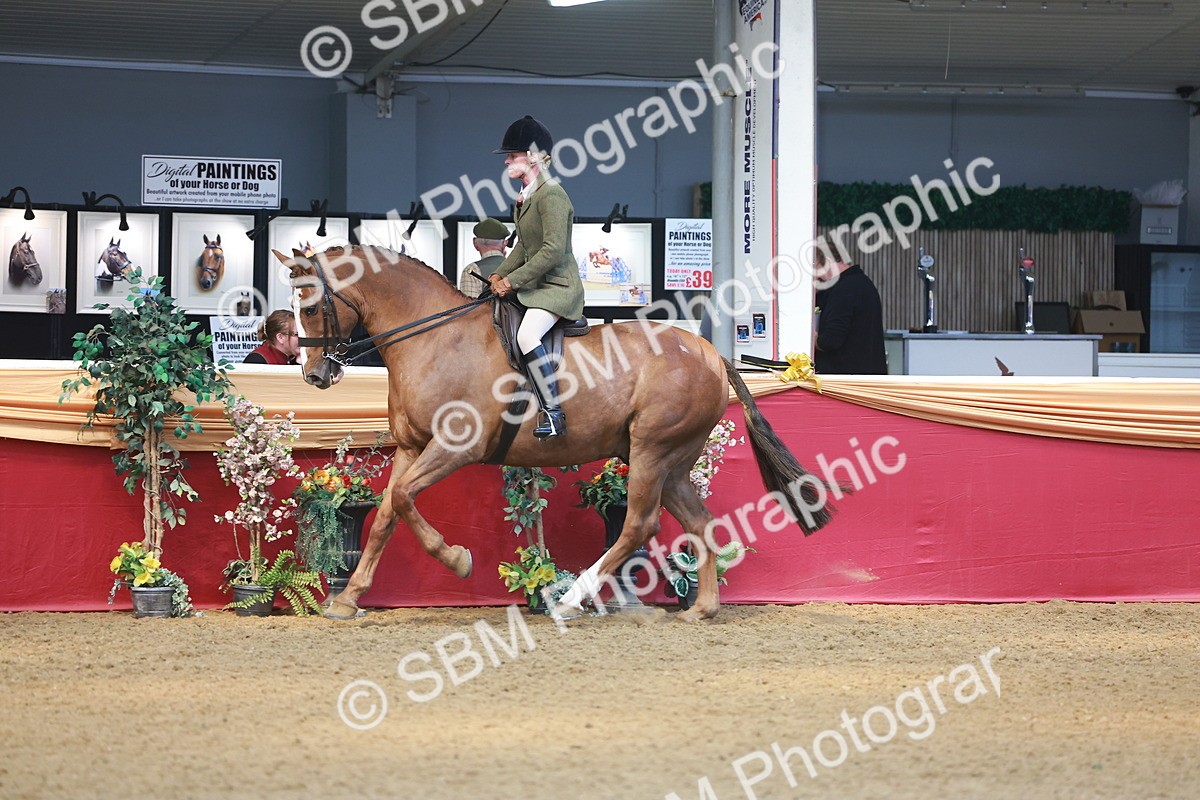 SBM_12571 - Class 103 - HOYS Veteran Qualifier - Ridden Pre Vet
