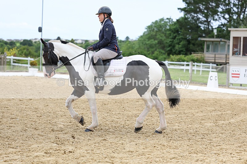 3E7A9454 - Class 2: Intro 1 2024 Section B