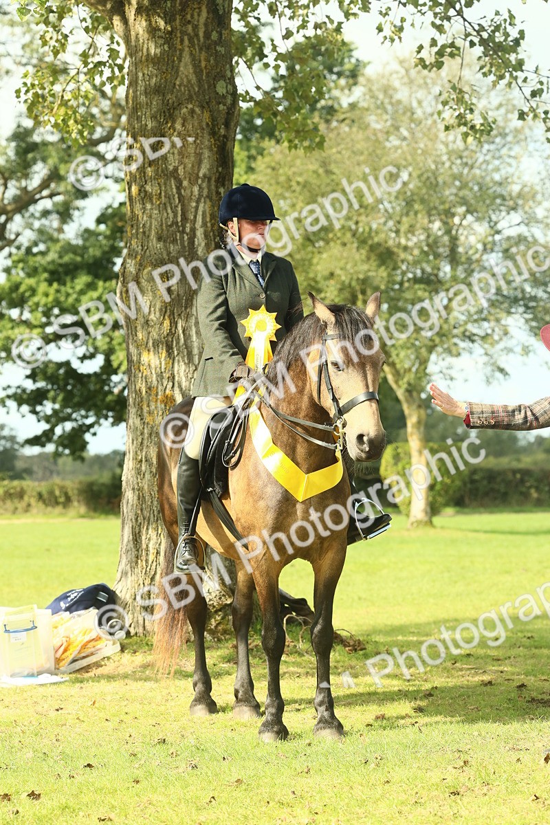 SBM_62711 - S63 - Other Coloured Horse Ridden