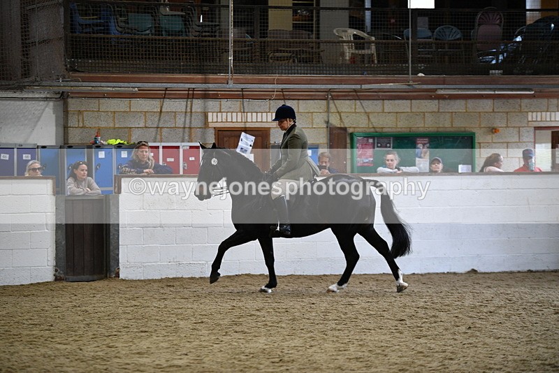 WJ5_7820 - Class 13 Ridden Part Breed