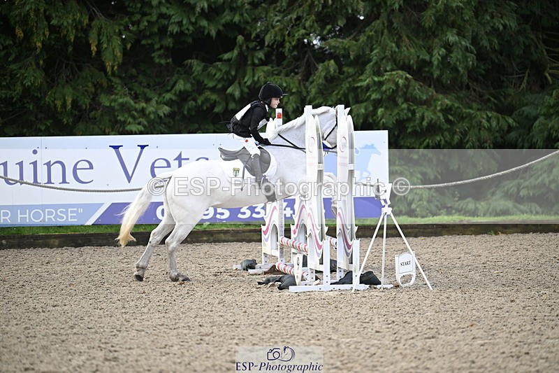 251005A-090546-02943 - Cls 02 GR 50cm