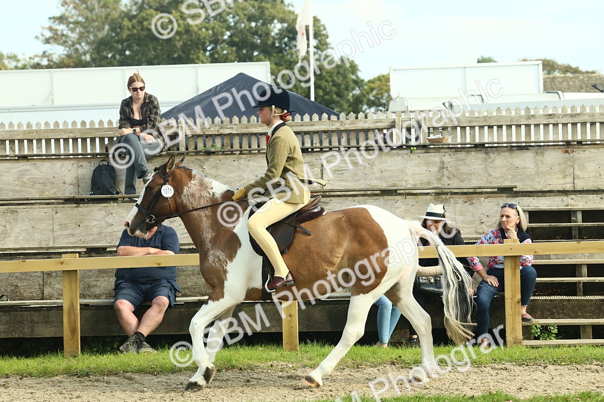 SBM_67655 - S56 - Coloured Pony Ridden