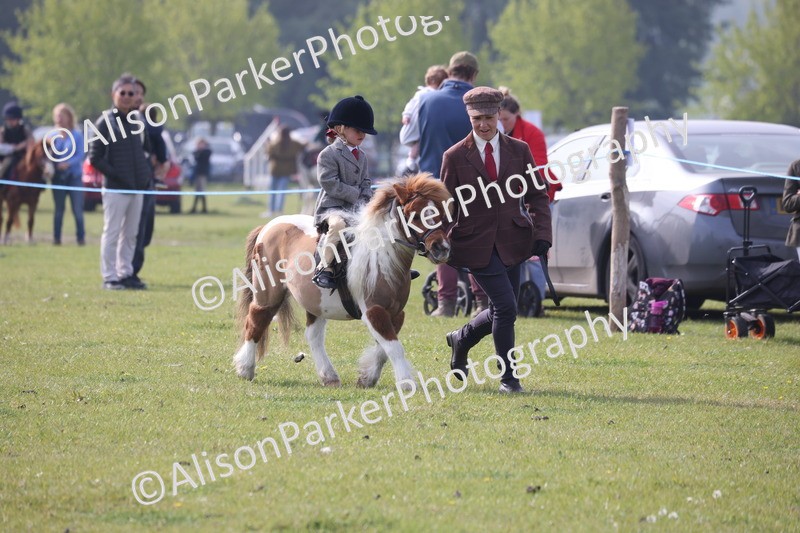 20260426-0318 - Class 30 - Tiny Tots Lead Rein