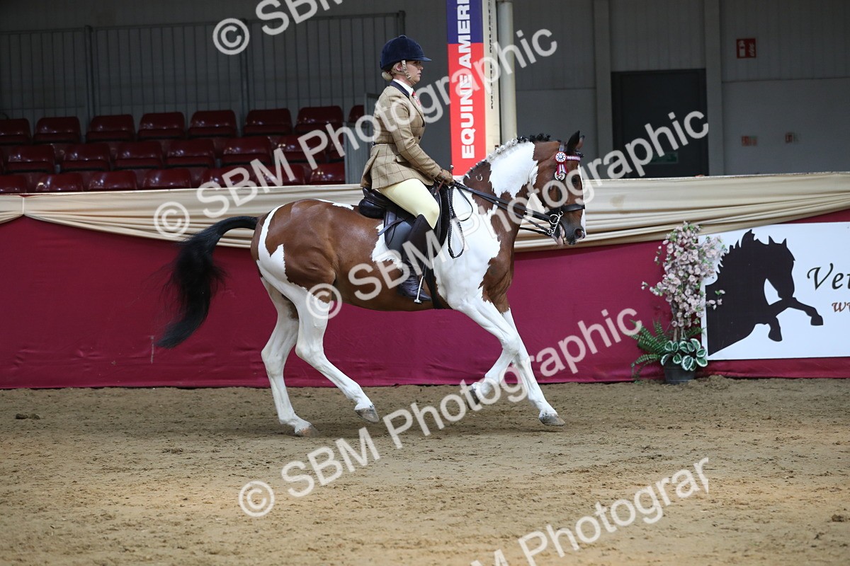 SBM_08296 - Class 11R Regional Ridden Veteran