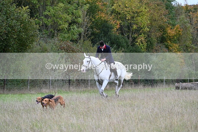 WJ7_3558 - Camera 1 Line 1