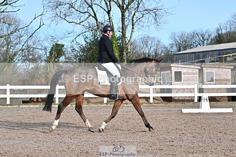 250125-111027-00279 - Dressage - CT Class 5 BE95 (90cm)
