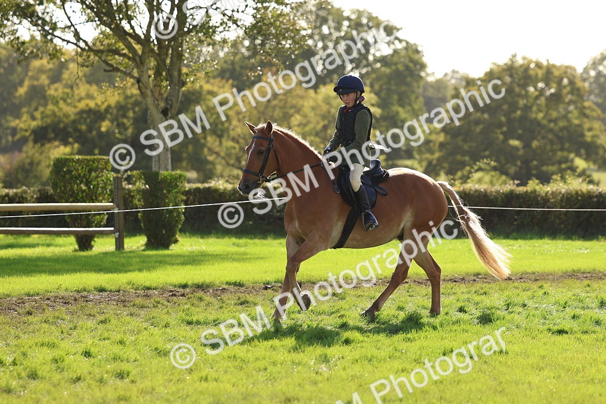SBM_52464 - S13 - Pony Club Pony