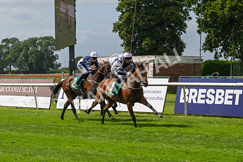 030824-Race 2-Barefoot Warrior-1515 - Race 2