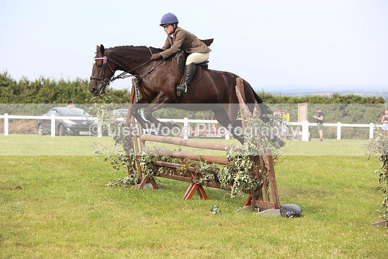 JPP_4218 - Class 25: Working Show Horse