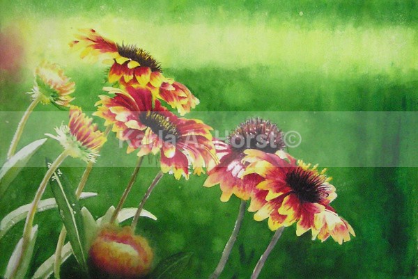 Awakening - Original Art