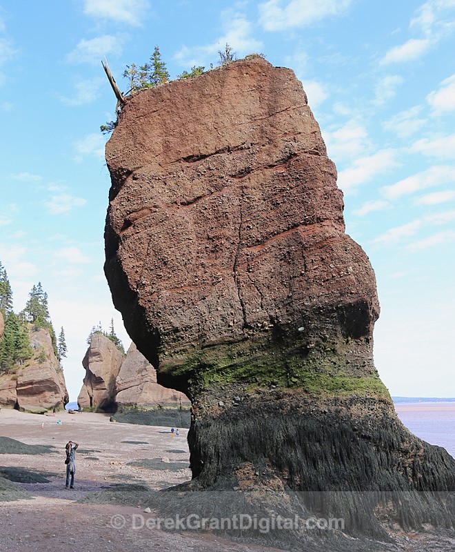 The Rocks @ Hopewell Cape - The Rocks @ Hopewell Cape